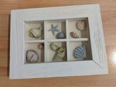 Photo of free Shell picture (needs minor repair) (Banstead) #1