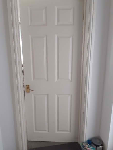 Photo of free Panel internal doors (Clapham EX6) #1