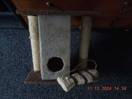 Photo of free Scratchpost (Oulton Broad NR32) #1