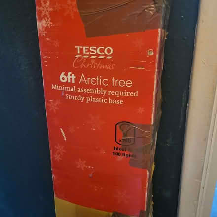 Photo of free 6 foot arctic tree (Whittlebury NN12) #2