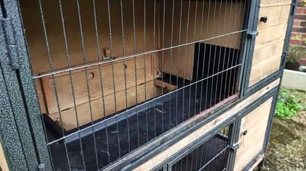 Photo of free Guinea Pig Hutch (Kevington, BR5) #3