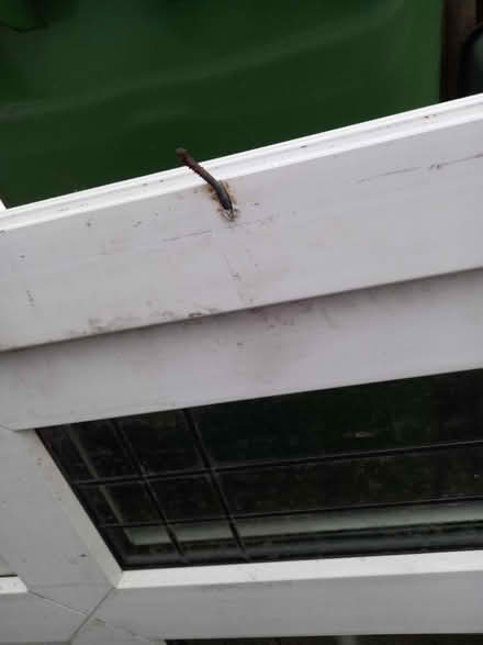Photo of free Upvc door (SK3) #4