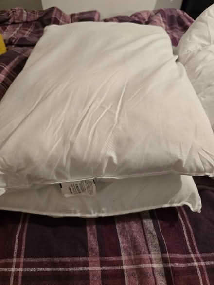 Photo of free 2 pillows and double 4.5 tog duvet (Flitwick) #2