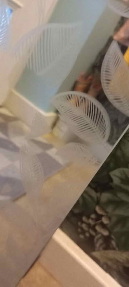 Photo of free Small / medium mirror (TF1) #2