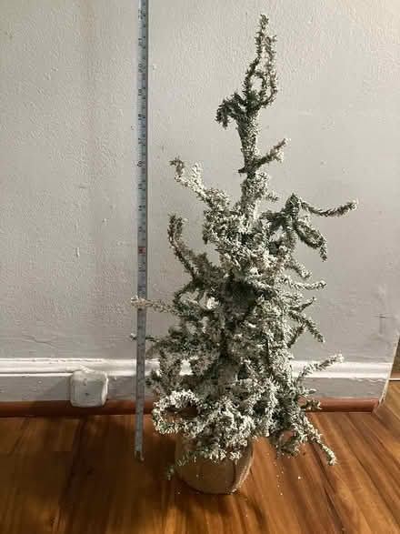 Photo of free 24" Unlit Frosted Angel Pine Tree (Takoma, DC) #2