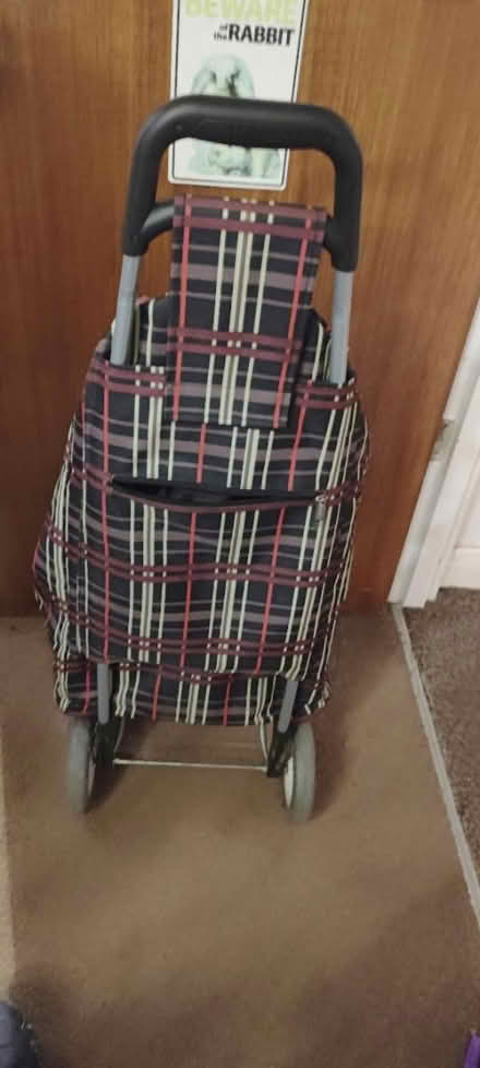 Photo of free Shopping trolley Stull (Sunbury on Thames TW16) #2