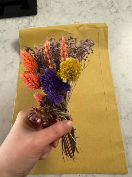 Photo of free Very delicate dried flowers (RM14) #4
