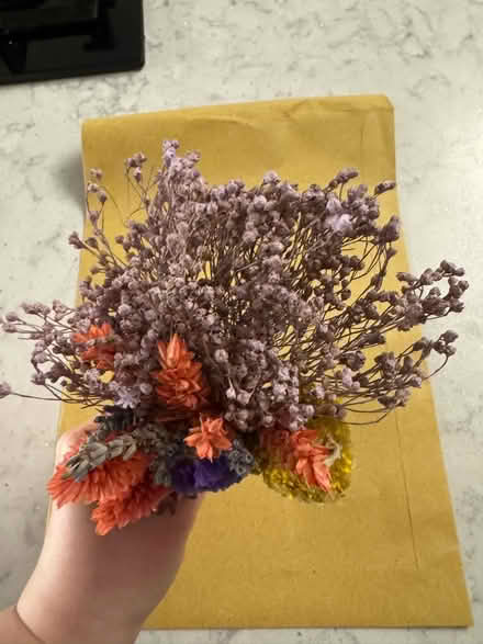 Photo of free Very delicate dried flowers (RM14) #3