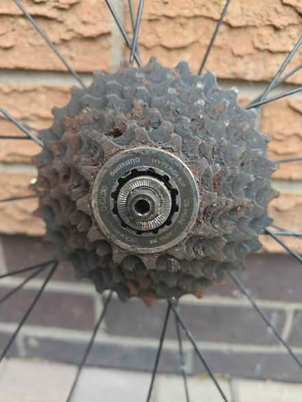 Photo of free ZR 25 racing wheel w shimano cogs (Balsall Common, CV7) #3