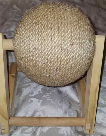 Photo of free Cat toys (Wd18) #4