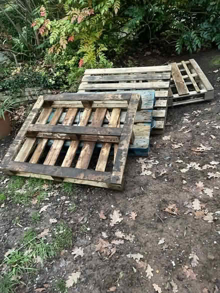Photo of free Pallets (Kenilworth CV8) #1