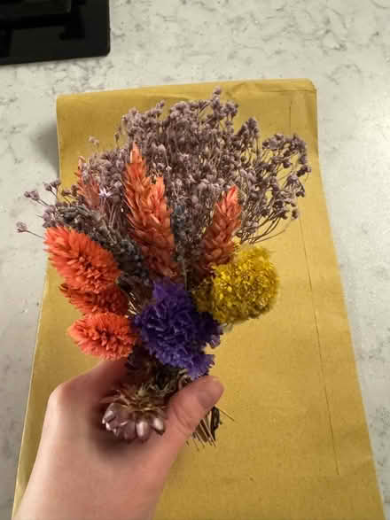 Photo of free Very delicate dried flowers (RM14) #2