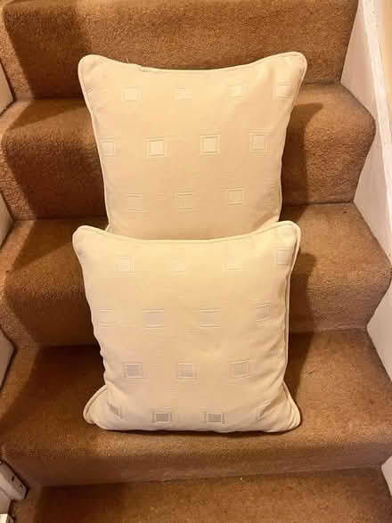 Photo of free Two feather-filled cushions (Linslade LU7) #1