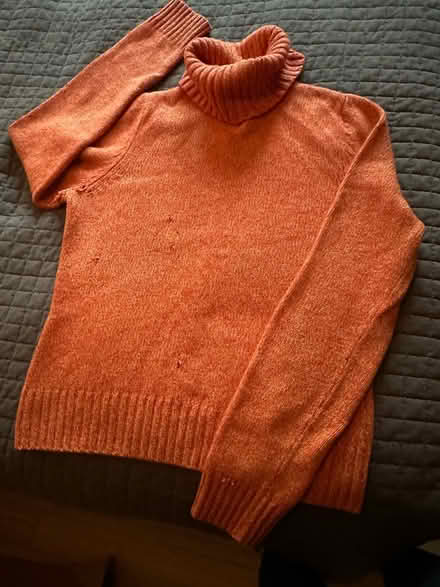 Photo of free Cashmere sweater w/moth holes (Oakland) #1