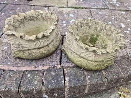 Photo of free Ornamental Plant Pots (Astley CV10) #1