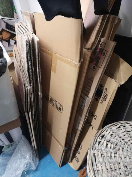 Photo of free 15-20+ Moving Boxes (BN12) #1