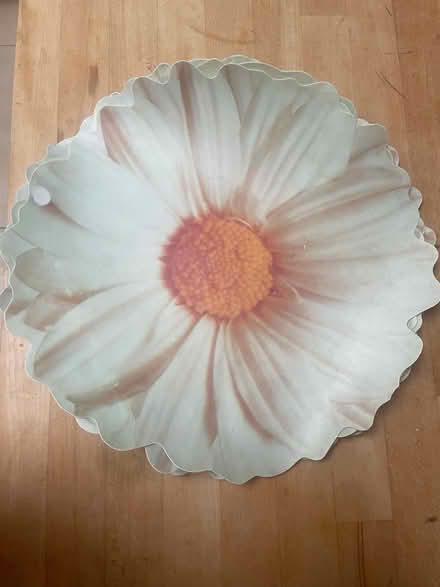 Photo of free Flower placemats (Ealing W13) #1