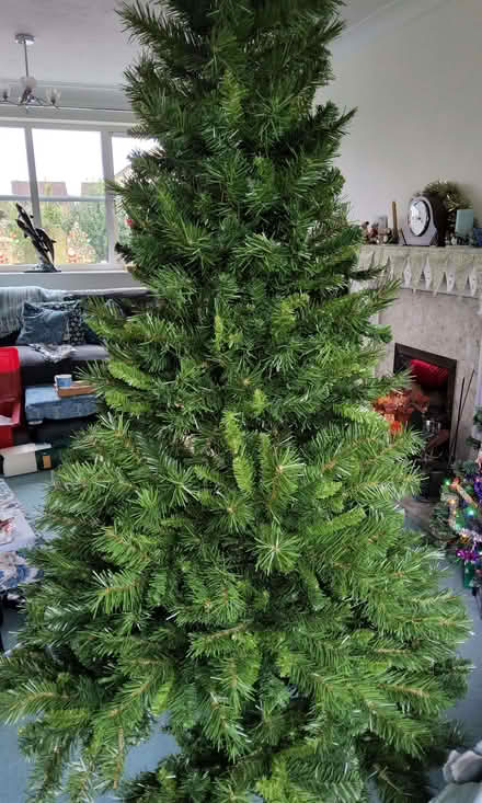 Photo of free 6ft Christmas Tree WITHOUT Decorations (Langford Village OX26) #2