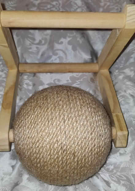 Photo of free Cat toys (Wd18) #3