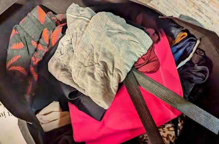 Photo of free Women's clothing L 12-14 11211 (Williamsburg, Brooklyn) #1