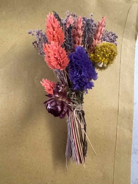 Photo of free Very delicate dried flowers (RM14) #1