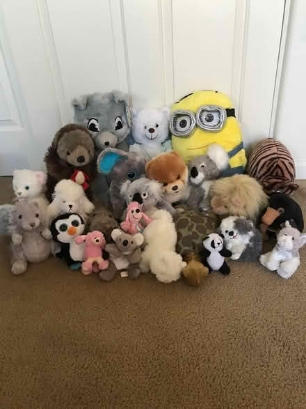 Photo of free Stuffed Animals - Giving Away (Petaluma) #1
