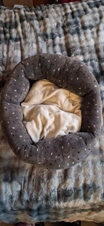 Photo of free Pets at home dog bed (Welling) #1