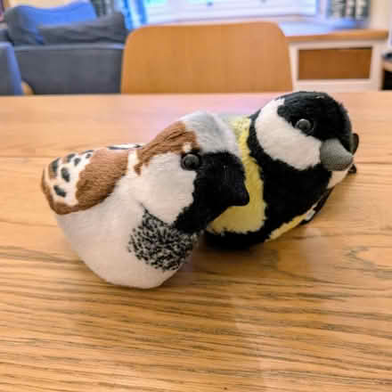 Photo of free Soft bird toys (Tufnell Park N7) #2