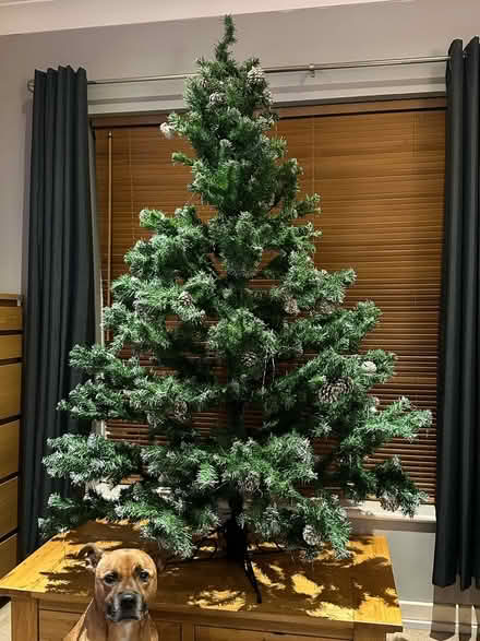 Photo of free Artificial Christmas tree (OX14) #1