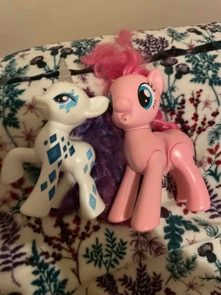 Photo of free Pony toys (Blacklands TN34) #1