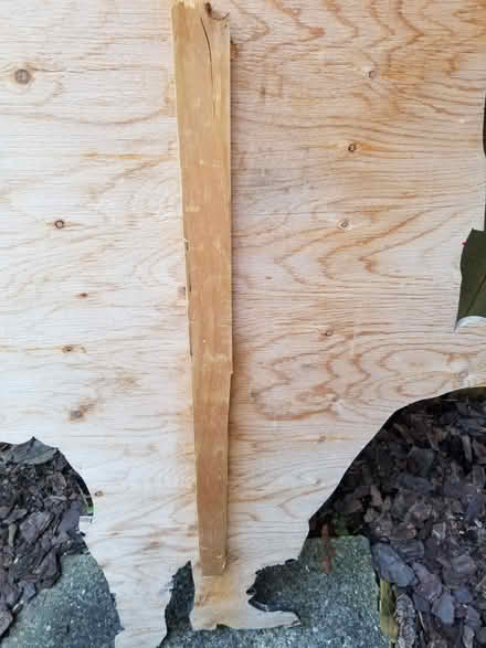 Photo of free Plywood Santa cutout (Hunt Club) #4
