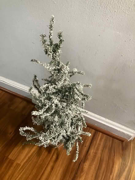 Photo of free 24" Unlit Frosted Angel Pine Tree (Takoma, DC) #1