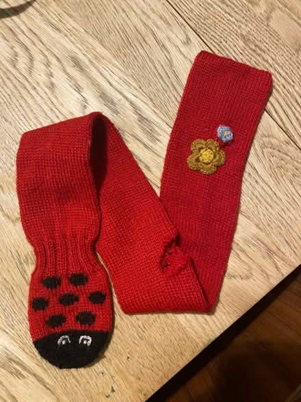 Photo of free Alpaca wool toddler scarf (Forest Gate (E7)) #1