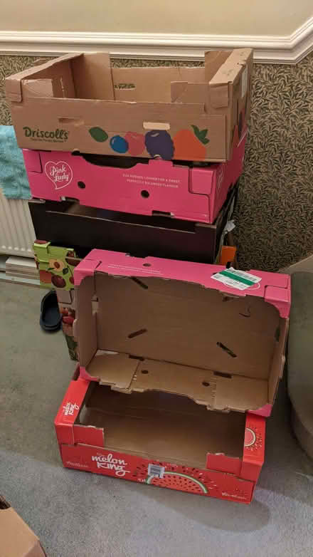 Photo of free 8 Large fruit boxes (Hampton Hill TW12) #1