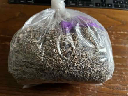 Photo of free Bag of Lavender (Wirksworth DE4) #1