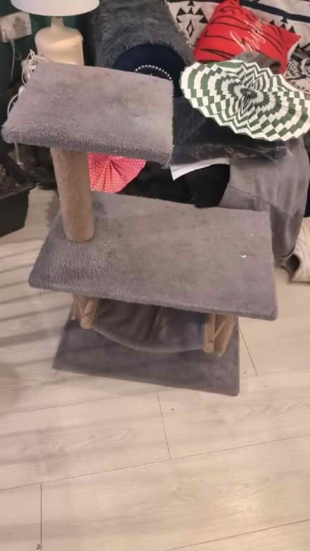 Photo of free Cat stand (Bromley North BR1) #1
