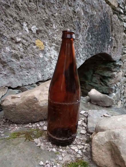 Photo of free pint beer bottles (Cartmel LA11) #1