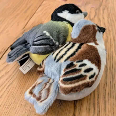 Photo of free Soft bird toys (Tufnell Park N7) #1