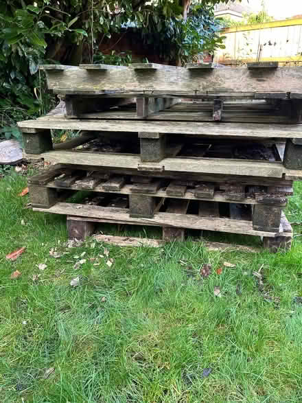 Photo of free 6 pallets (Levenshulme M19) #2