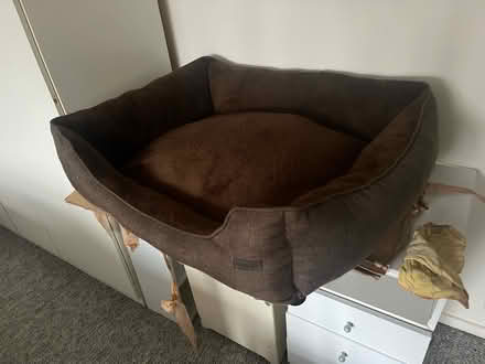 Photo of free Large dog basket SL6 area (Furzeplatt SL6) #1