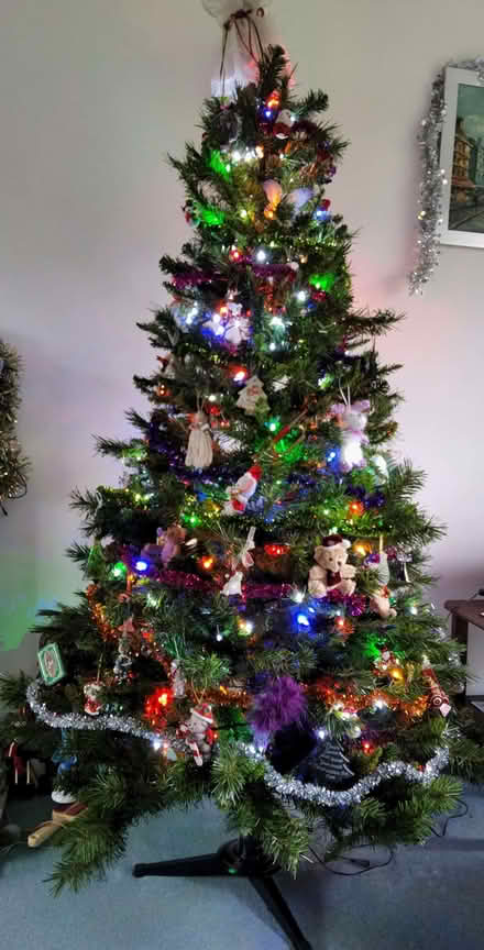 Photo of free 6ft Christmas Tree WITHOUT Decorations (Langford Village OX26) #1