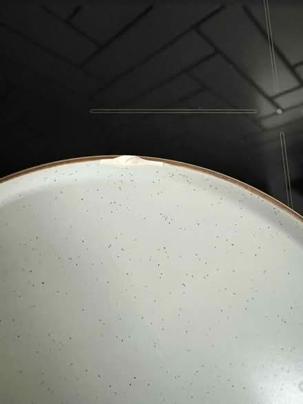 Photo of free 7 Habitat Dinner Plates (West Bergholt CO6) #4