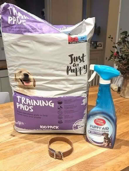 Photo of free Puppy pads, puppy spray & small leather collar (Craven Arms SY7) #1