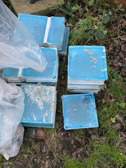 Photo of free Glass bricks (Askew Road W12) #1