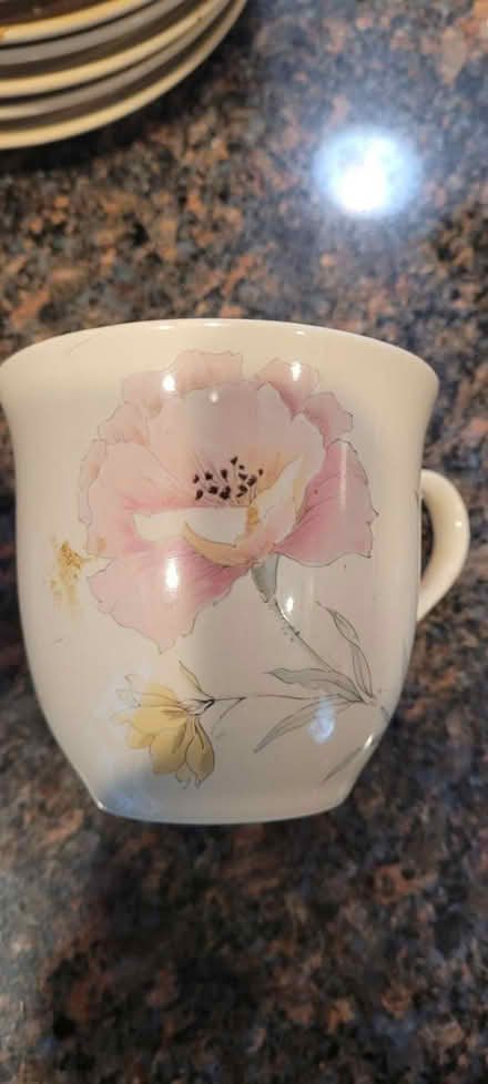 Photo of free 16 matching cups & saucers (Near McFarland) #1