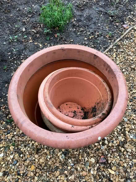 Photo of free Plastic garden pots (Wimbledon) #1