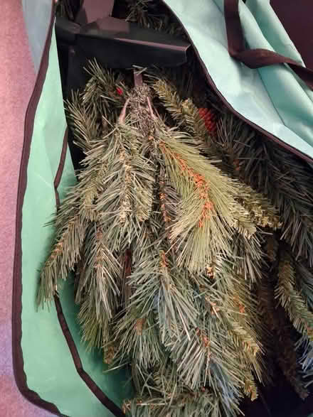 Photo of free 7ft Christmas Tree (Woolston WA1) #1