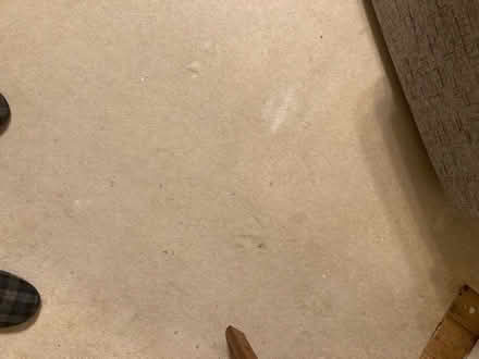 Photo of free Beige carpet (Clapham MK41) #1