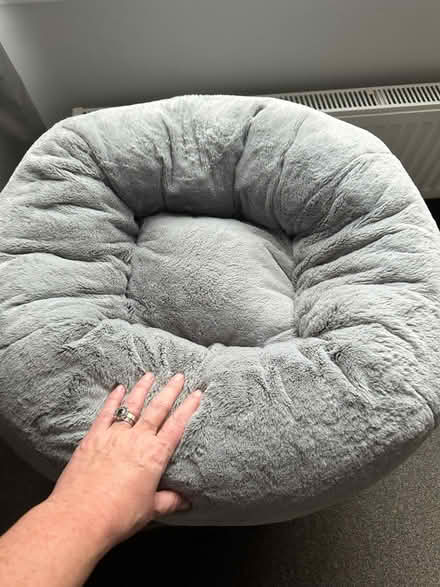 Photo of free Cat bed (Rochester, ME1) #2