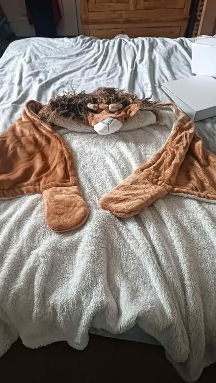Photo of free Wearable Lion blanket (GU14) #1